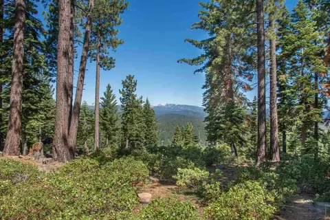 1942 Gray Wolf, Truckee, CA 96161 photo 11