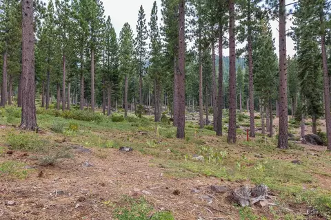 8172 Fallen Leaf Way, Truckee, CA 96161 photo 6