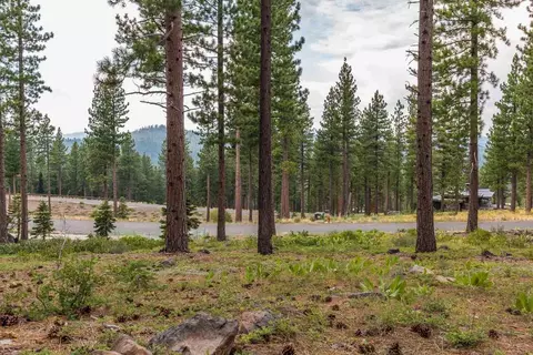 8172 Fallen Leaf Way, Truckee, CA 96161 photo 5