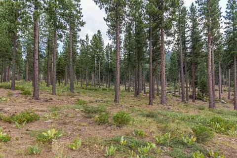 8172 Fallen Leaf Way, Truckee, CA 96161 photo 3