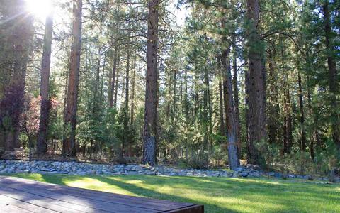 32 Tolowa Trl, Graeagle, CA 96103 photo 4