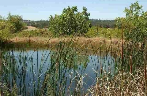 17536 Perimeter Rd, Grass Valley, CA 95949 photo 3