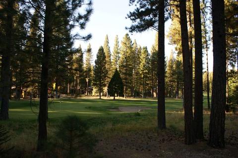 7 Fox Tail Ln, Clio, CA 96106 photo 3