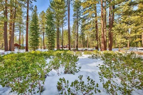 11201 Comstock Dr, Truckee, CA 96161 photo 7