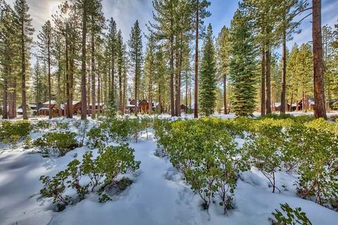 11201 Comstock Dr, Truckee, CA 96161 photo 6