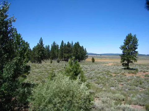 242 Basque, Truckee, CA 96161 photo 13