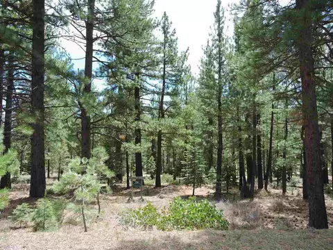 11907 Saddleback Dr, Truckee, CA 96161 photo 4