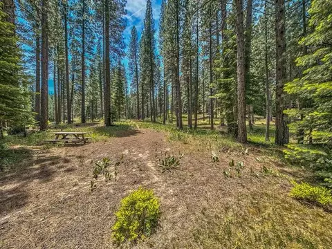 17 Apache Trl, Graeagle, CA 96103 photo 3