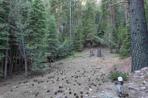 7845 River Rd, Truckee, CA 96161 photo 7