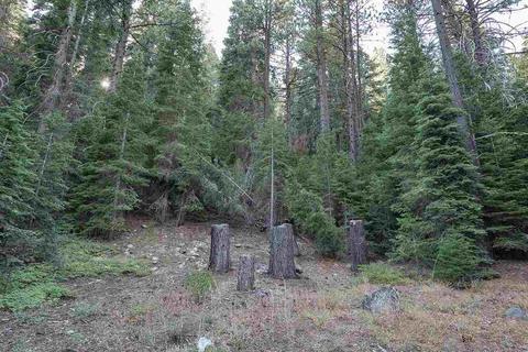 7845 River Rd, Truckee, CA 96161 photo 8