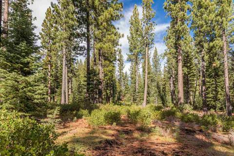 8136 Valhalla Dr, Truckee, CA 96161 photo 4