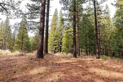 310 Coates Ave, Calpine, CA 96124 photo 14