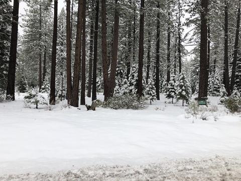 11208 Comstock Dr, Truckee, CA 96161 photo 1