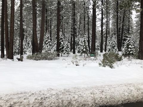11208 Comstock Dr, Truckee, CA 96161 photo 3