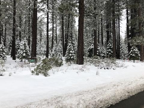 11208 Comstock Dr, Truckee, CA 96161 photo 2