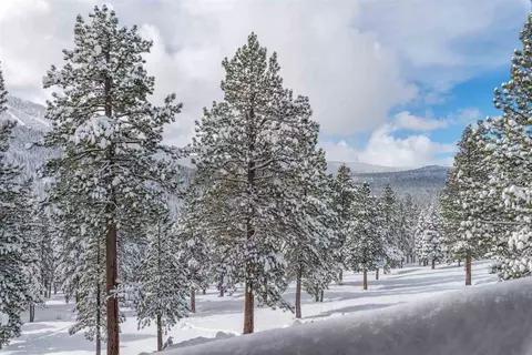 6056 Bear Trap, Truckee, CA 96161 photo 3