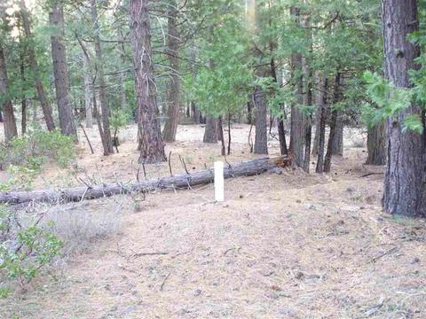 525 C Rd, Clio, CA 96106 photo 14