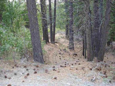 525 C Rd, Clio, CA 96106 photo 7
