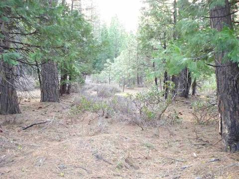 525 C Rd, Clio, CA 96106 photo 12