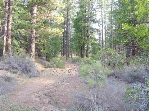 525 C Rd, Clio, CA 96106 photo 1