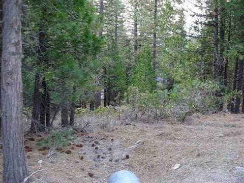525 C Rd, Clio, CA 96106 photo 10