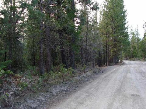 525 C Rd, Clio, CA 96106 photo 9