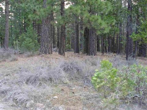 525 C Rd, Clio, CA 96106 photo 2