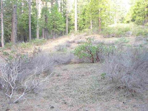 525 C Rd, Clio, CA 96106 photo 13