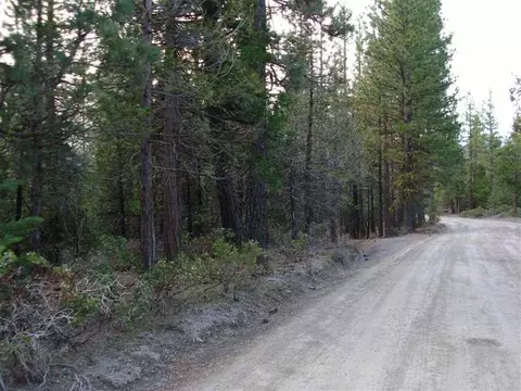 595 C Rd, Clio, CA 96106 photo 10