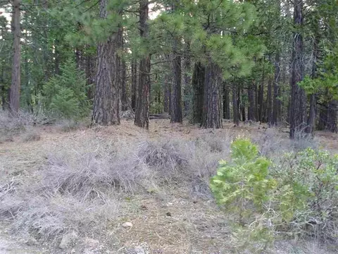 595 C Rd, Clio, CA 96106 photo 1