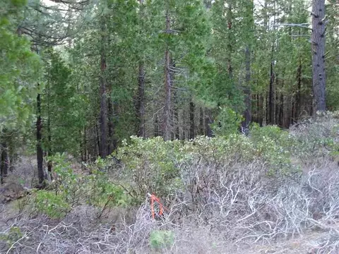595 C Rd, Clio, CA 96106 photo 9