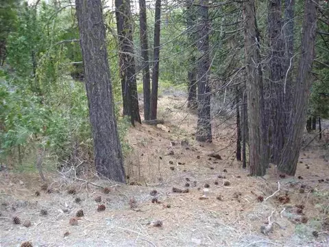 595 C Rd, Clio, CA 96106 photo 8