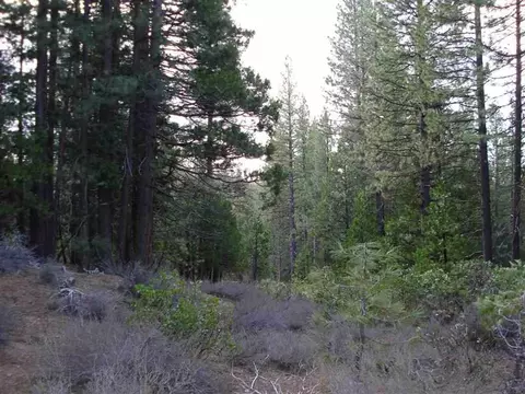 595 C Rd, Clio, CA 96106 photo 4