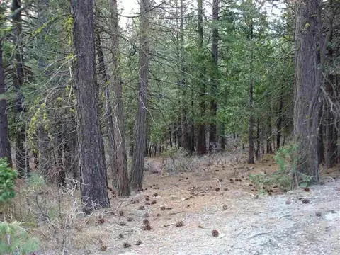 595 C Rd, Clio, CA 96106 photo 7