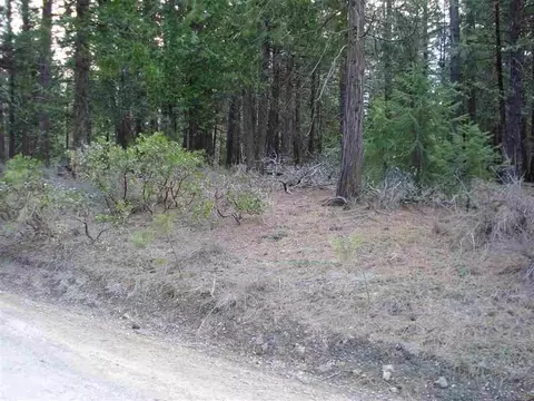 595 C Rd, Clio, CA 96106 photo 5