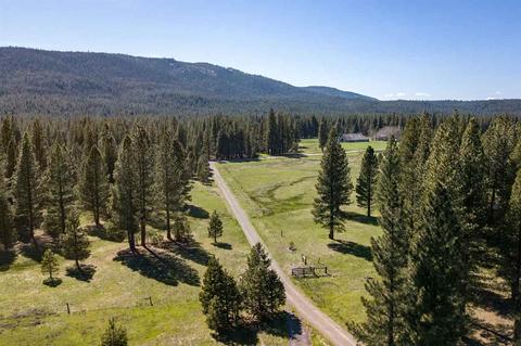 21040 State Highway 89, Calpine, CA 96124 photo 20