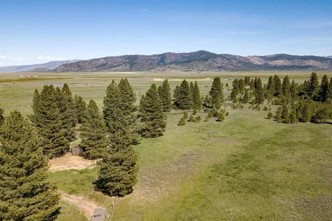 21040 State Highway 89, Calpine, CA 96124 photo 21