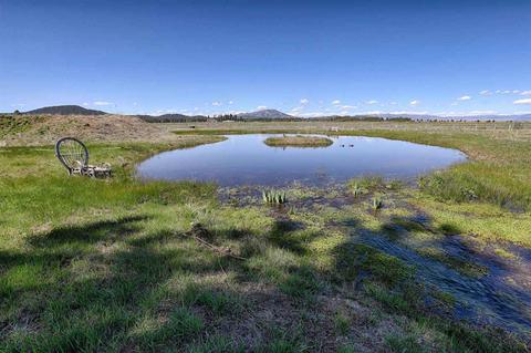 21040 State Highway 89, Calpine, CA 96124 photo 19