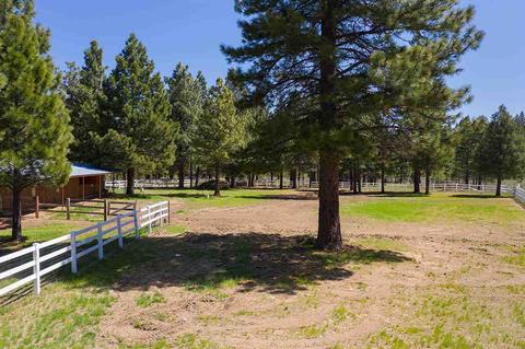 100 Calpine Rd, Calpine, CA 96124 photo 17