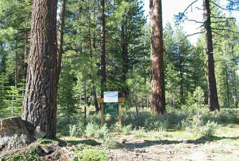 11680 Saddleback Dr, Truckee, CA 96161 photo 1