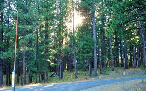 270 Gold Nugget Ln, Graeagle, CA 96103 photo 1