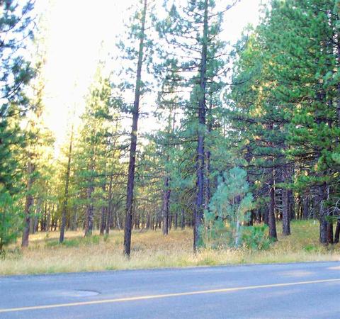 270 Gold Nugget Ln, Graeagle, CA 96103 photo 6
