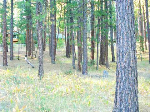 270 Gold Nugget Ln, Graeagle, CA 96103 photo 5
