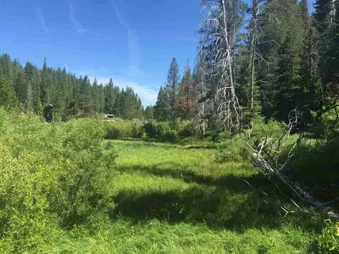 6900 River Rd, Truckee, CA 96161 photo 7