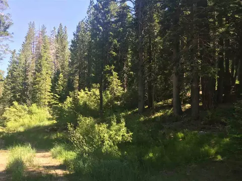 6900 River Rd, Truckee, CA 96161 photo 6