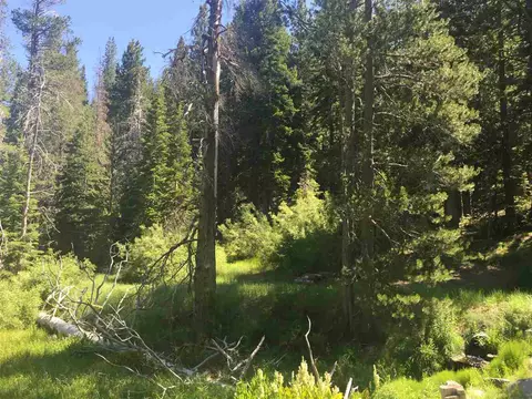 6900 River Rd, Truckee, CA 96161 photo 8