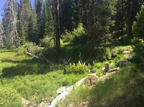 6900 River Rd, Truckee, CA 96161 photo 9