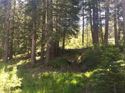 6900 River Rd, Truckee, CA 96161 photo 10