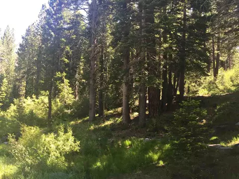 6900 River Rd, Truckee, CA 96161 photo 5