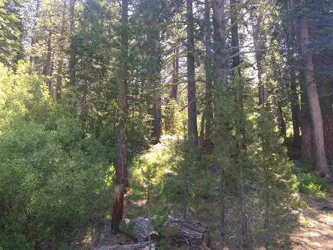 6900 River Rd, Truckee, CA 96161 photo 13